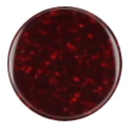 Alternative view of DIVA 384 - Midnight Bloom