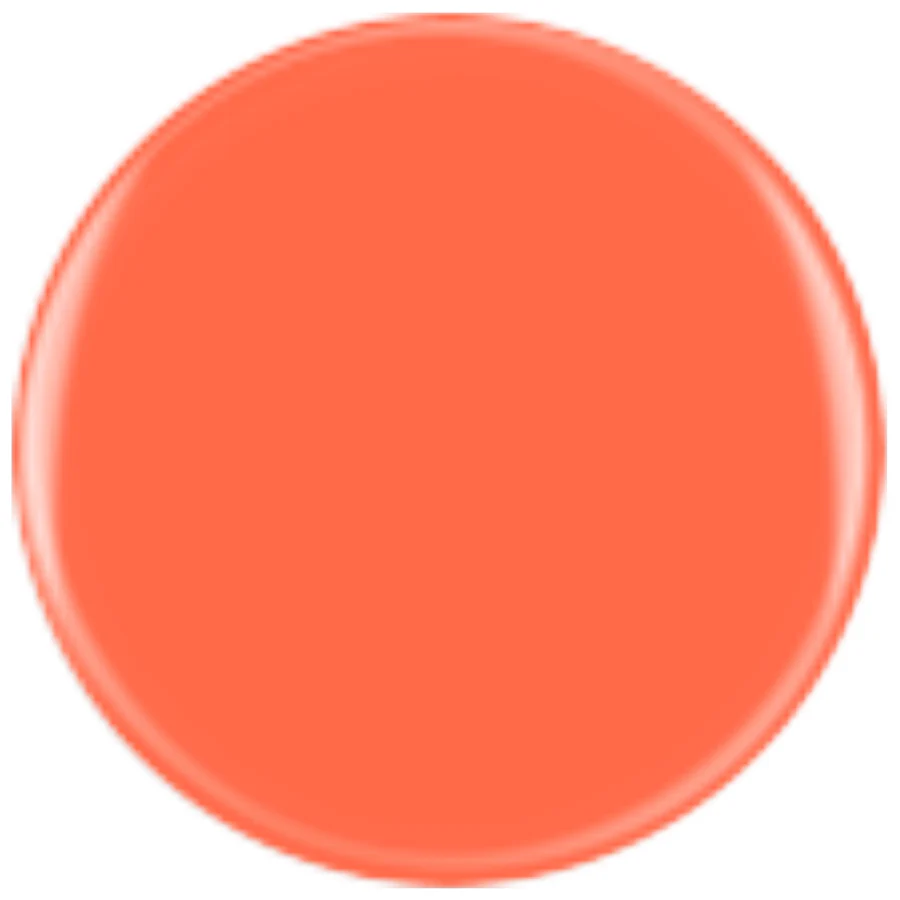 DIVA Refill 70 - Pumpkin - Image 2